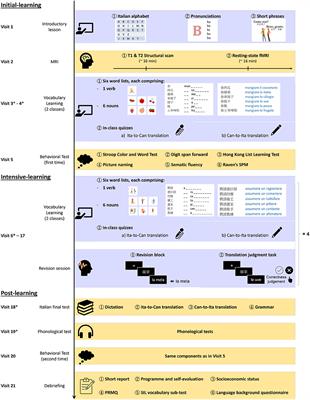 Foreign Language Learning in Older Adults: Anatomical and Cognitive Markers of Vocabulary Learning Success
